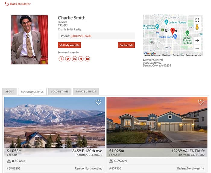 Agent profile displayed from the roster widget